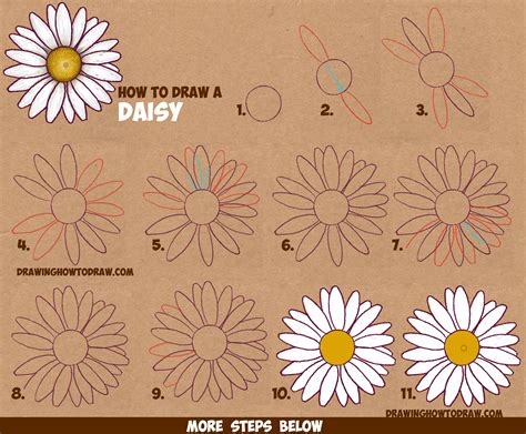 How to draw a daisy - Learn how to draw a realistic-looking daisy using a clear, close-up photo as a reference. Follow the steps to draw the center, petals, and stem of the flower, and add some texture and shadow effects.